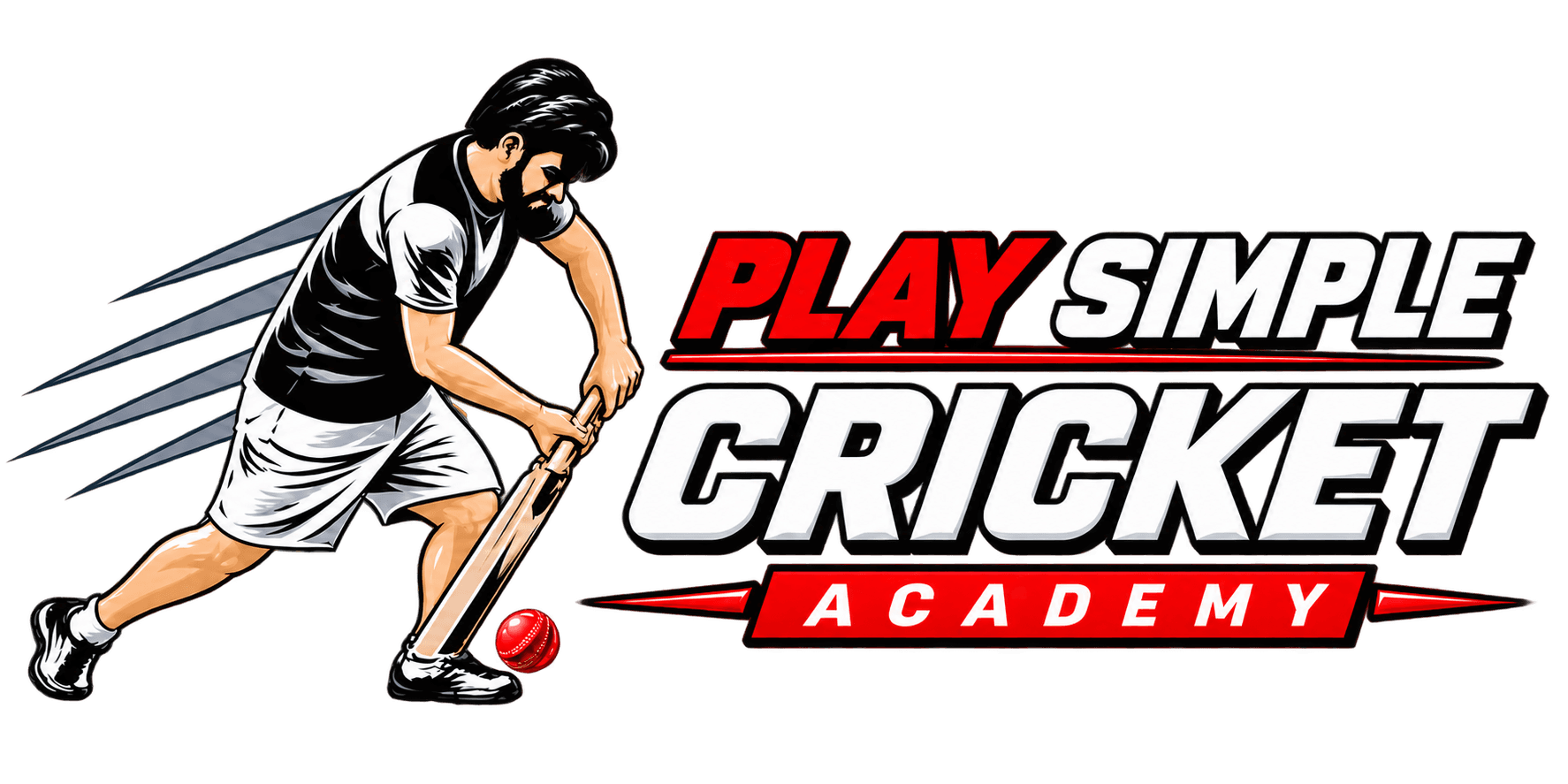 Play Simple Cricket